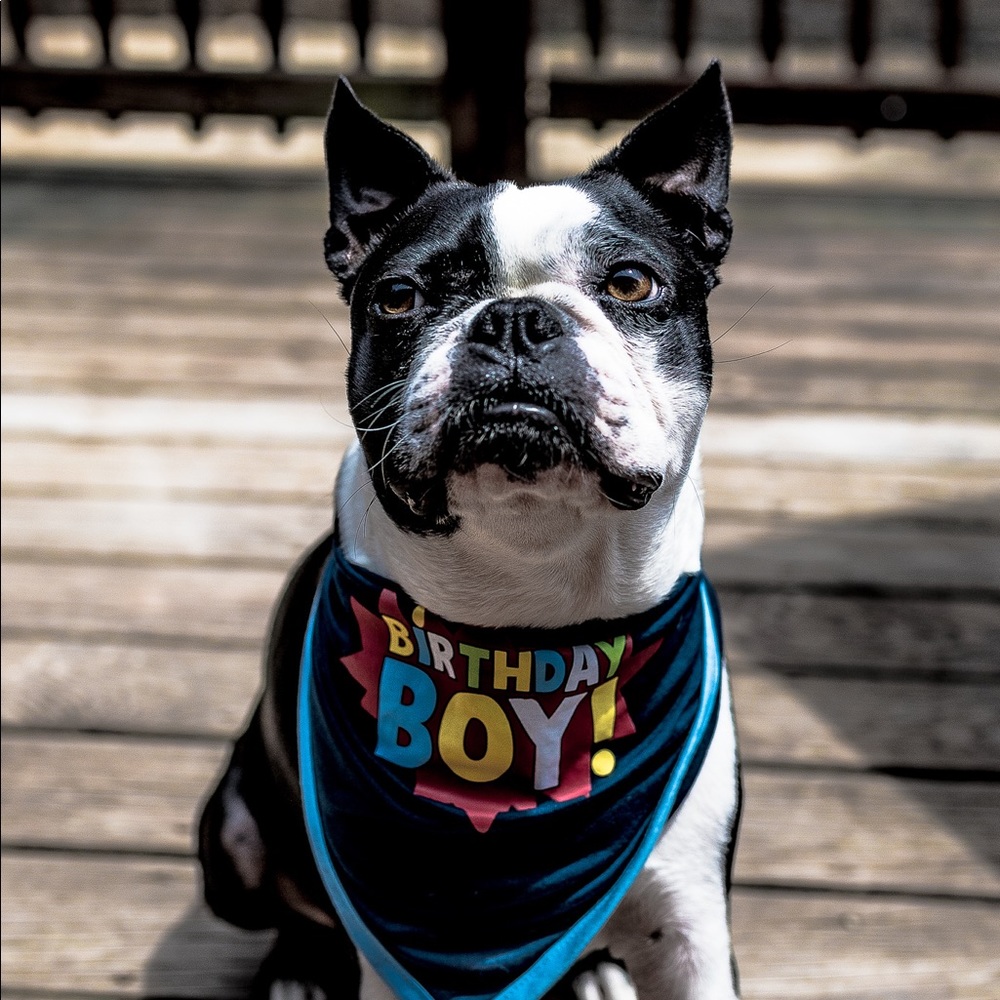 Meet your Posher, Jamie